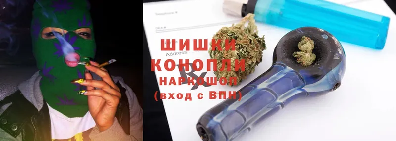 Бошки марихуана THC 21%  Валуйки 